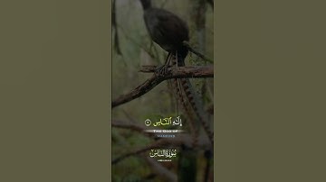 سوره الناس/قل اعوذ برب الناس ملك الناس اله الناس.#holyquran #islamicvideo #1000subscriber #100k