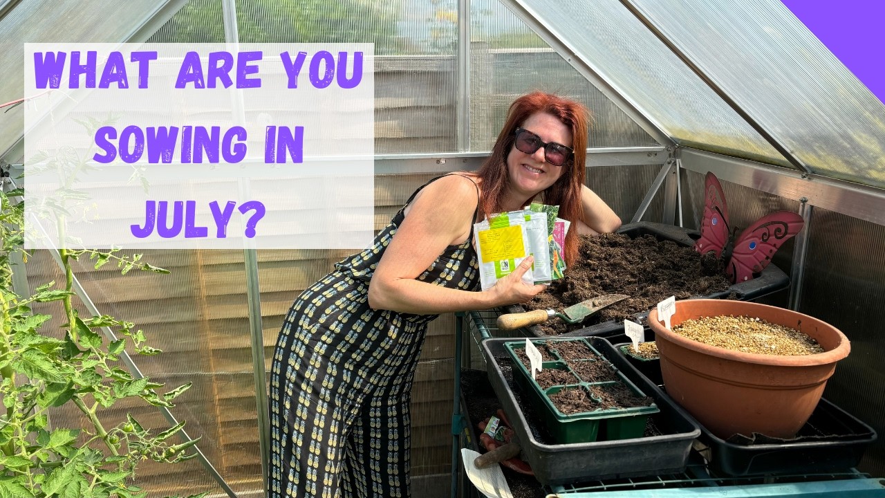 What To Sow In July - Allotment Gardening For Beginners UK - YouTube