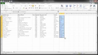 Microsoft Excel 2010: Change Text Case