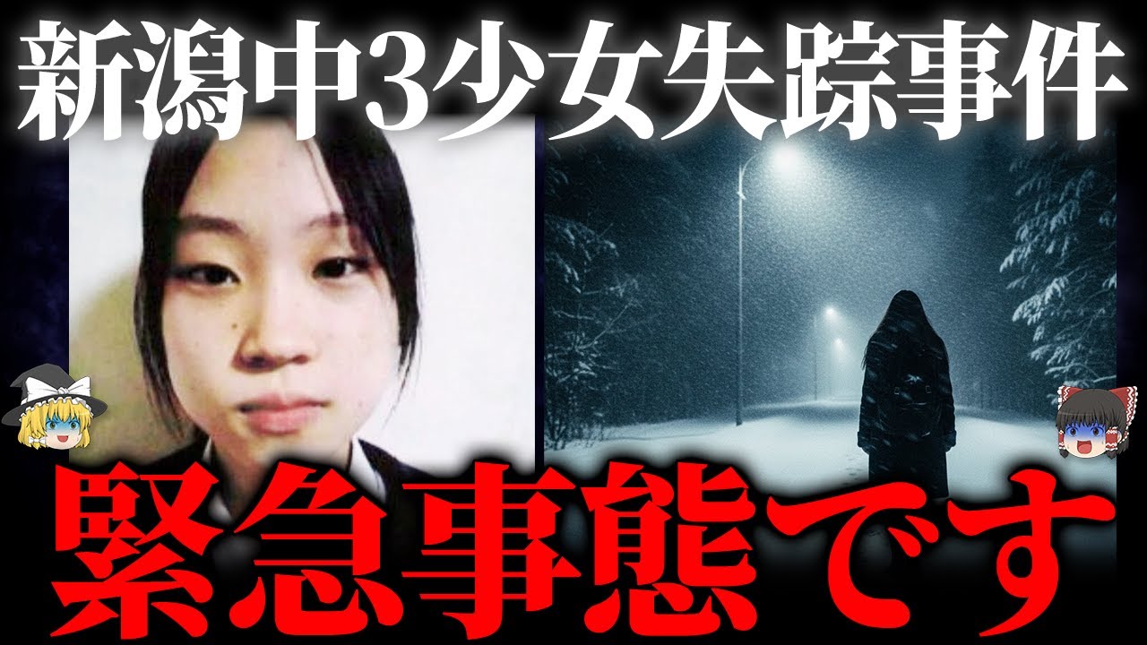 【ゆっくり解説】新潟中3少女失踪事件の続報。他にも3名の奇妙な神隠しが...