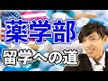 薬学生のアメリカ留学！日本からアメリカの薬学部に編入する方法