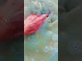 jbl speaker drop test high jumping water testing #shortvideo