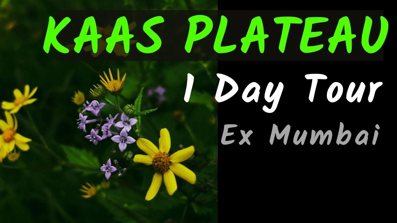 Kaas Plateau - Kaas Pathar Tour - Ticket Booking - Mumbai - Kumudini ...