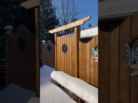 瑞雪兆丰年
