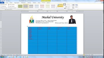 Ms Office 2010 Word Part 16) Insert Menu in Dari / Farsi Omar Akbari