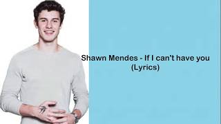 Shawn Mendes - If I Can't Have You (lyrics)