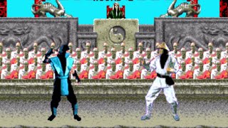 SUB-ZERO vs RAYDEN - MORTAL KOMBAT