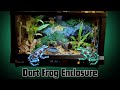 Poison dart frog enclosure setup in under 5 minutes