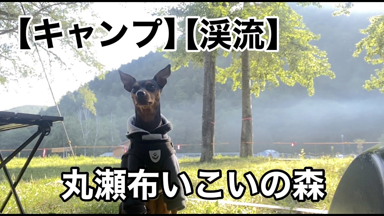 【釣りキャン】キャンプと渓流釣り至福の時間でした