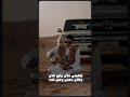 اشجع اللي علي زعلان