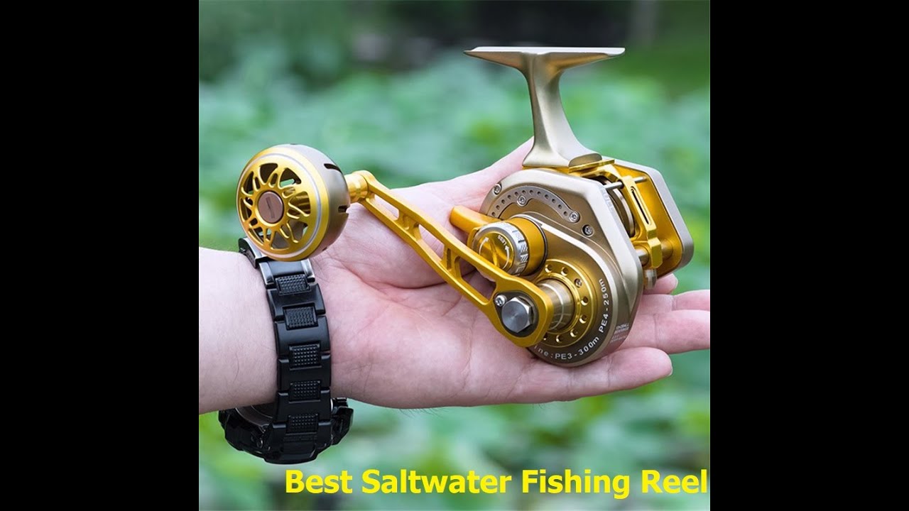 Top 5 saltwater baitcasting reels - YouTube