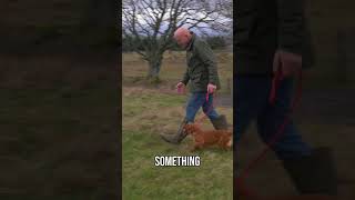 Don't Overly Pressurise Your Dog!