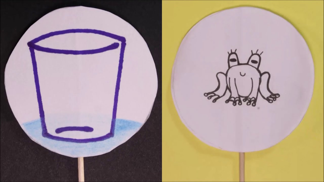 Jak si vyrobit thaumatrop?