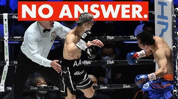 How this Short Boxer