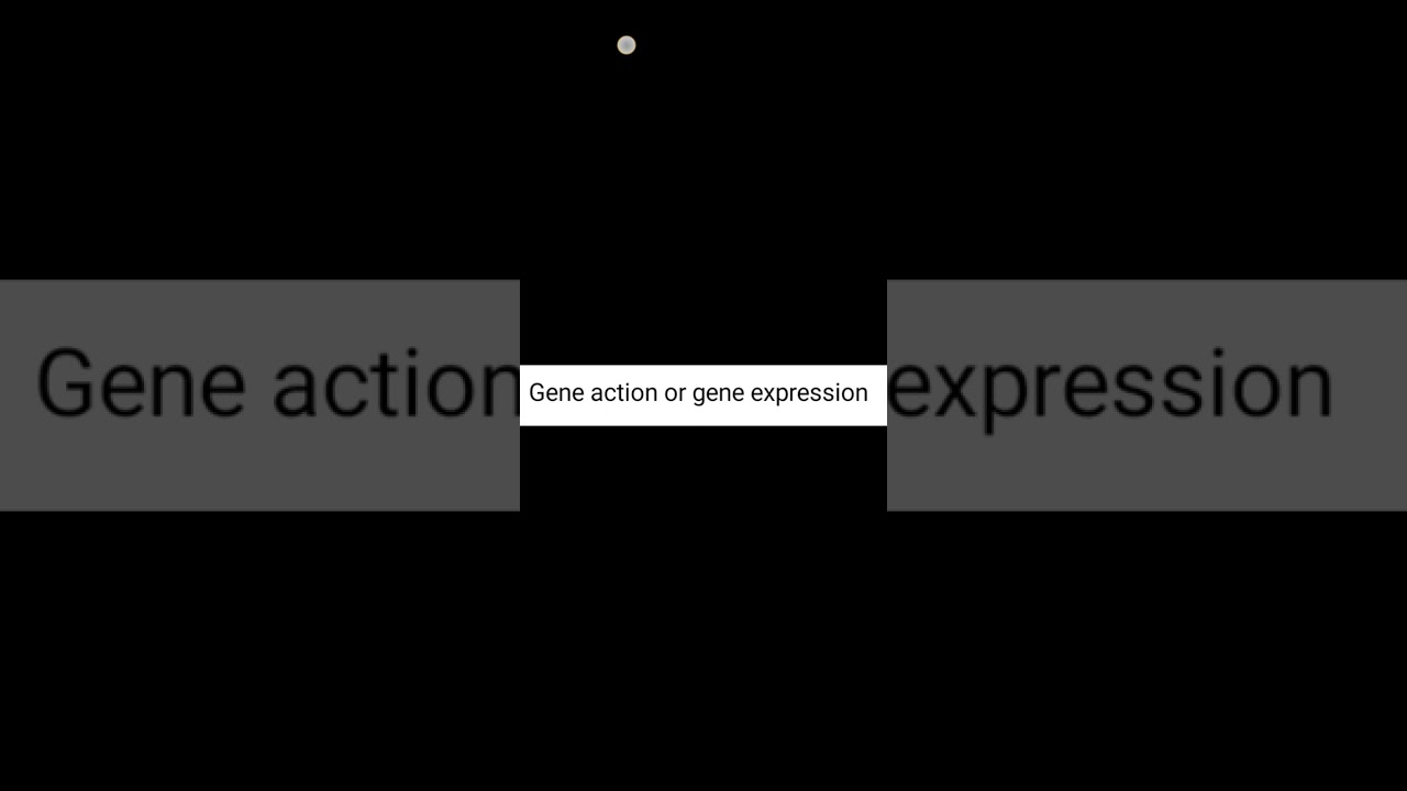 gene action and gene expression