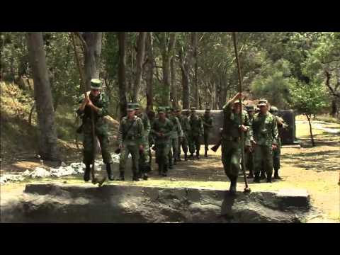 Requisitos Básicos De Entrenamiento Físico De La Fuerza Aérea