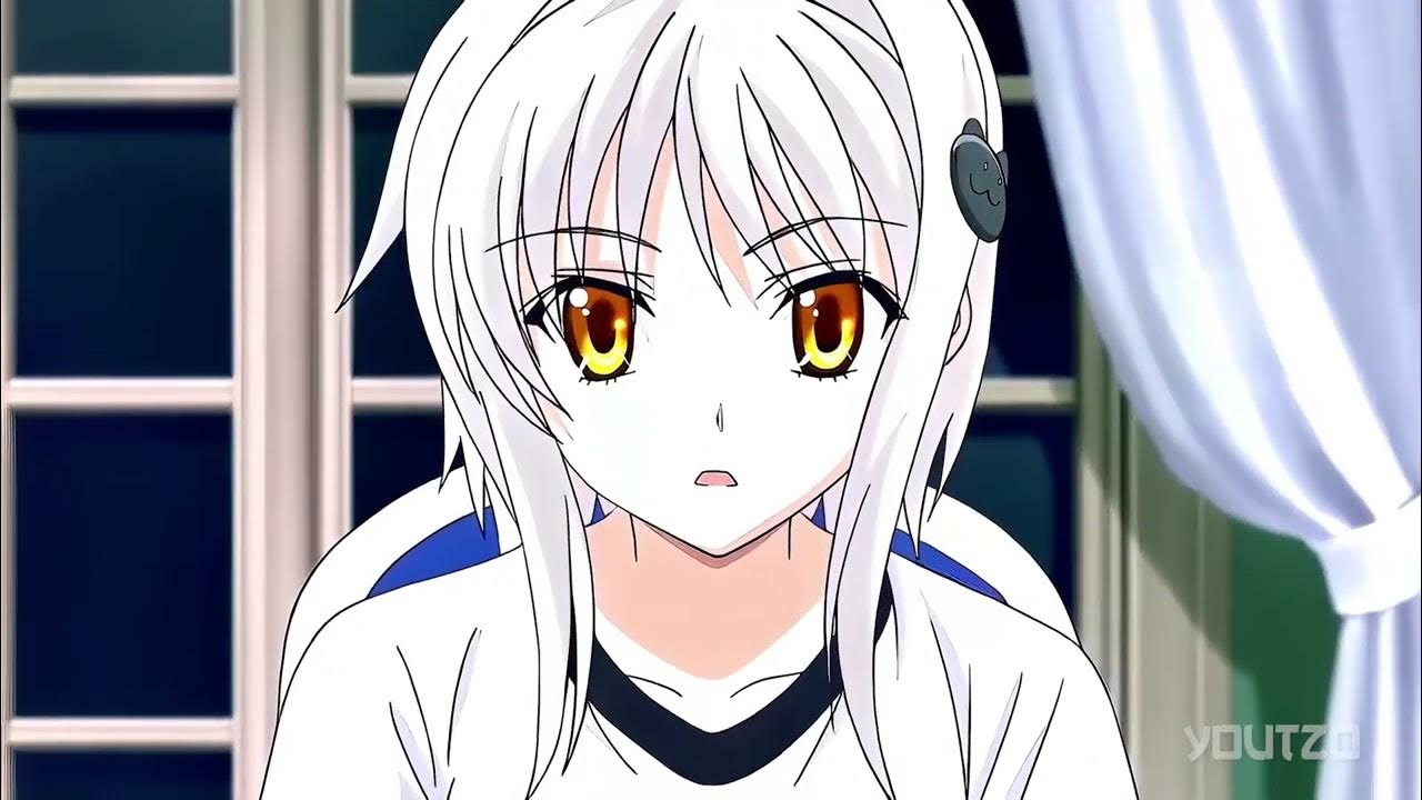 сиронэ тодзё. неко конеко. демоны старшей школы канеко. канеко dxd. сиронэ тодзё.