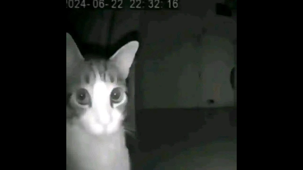 [TOP 3] Subway Surfers No Coins Challenge 2H 10MIN