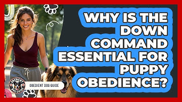 Why Is The Down Command Essential For Puppy Obedience? - Obedient Dog Guide