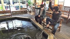Ktg魚部 Youtube Ktg魚部 Youtube