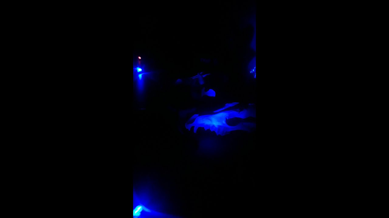 DON'T SAY HIS NAME IN THE MIRROR 3 TIMES!!