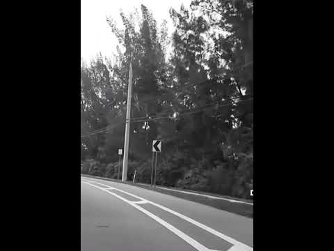 تامر حسني مليش بعدك