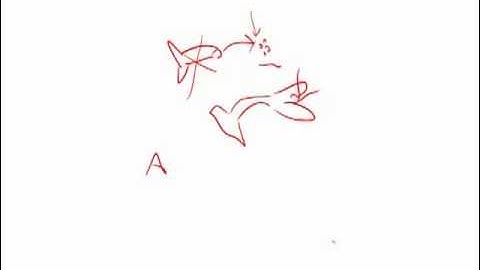 GRE Official Guide 2nd Ed. Practice Test 2: Section 4 Question 25