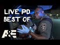 Big Dumb/Funny Live PD Moments