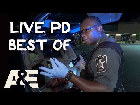 big-dumb/funny-live-pd-moments