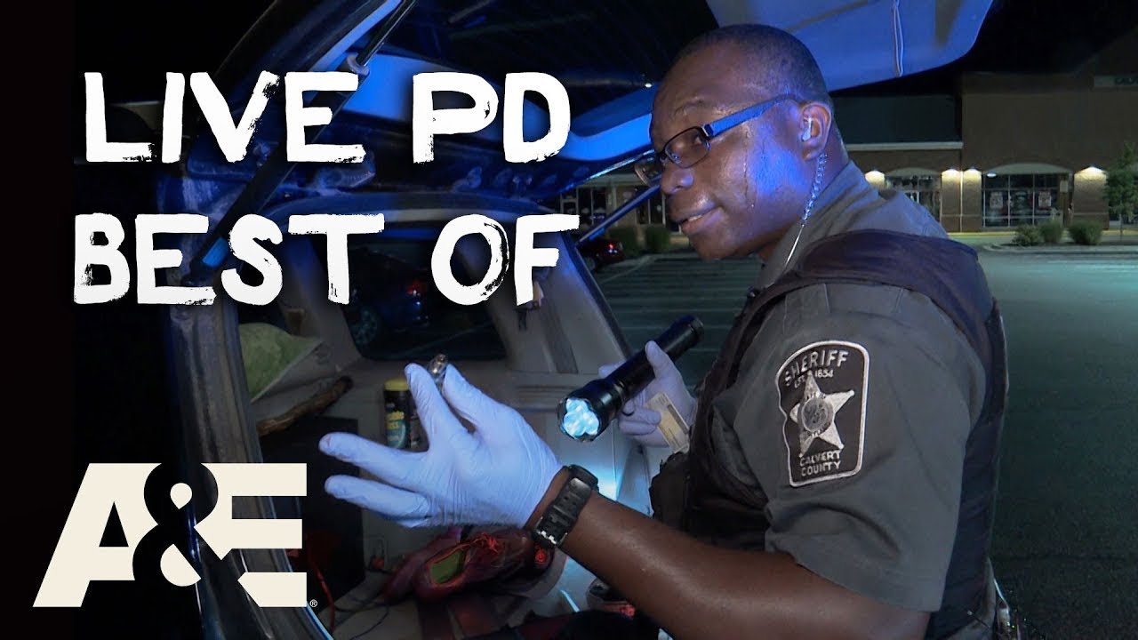 Big Dumb/Funny Live PD Moments 