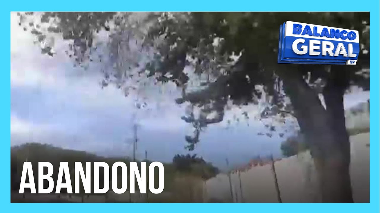 Balança Povão: Bairro Parque Novo Mundo, na zona norte da capital paulista, é tomado pelo abandono