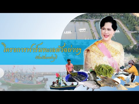 สืบสานพระราชปณิธาน สู่การพัฒนาประมงที่ยั่งยืน ตอน ฟาร์มทะเลตัวอย่าง