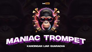Download Lagu MANIAC TROMPET (Kancingan Liar Guaracha)🎺🔥 Irsal Palevi MP3 Download Lagu MANIAC TROMPET (Kancingan Liar Guaracha)🎺🔥 Irsal Palevi MP3