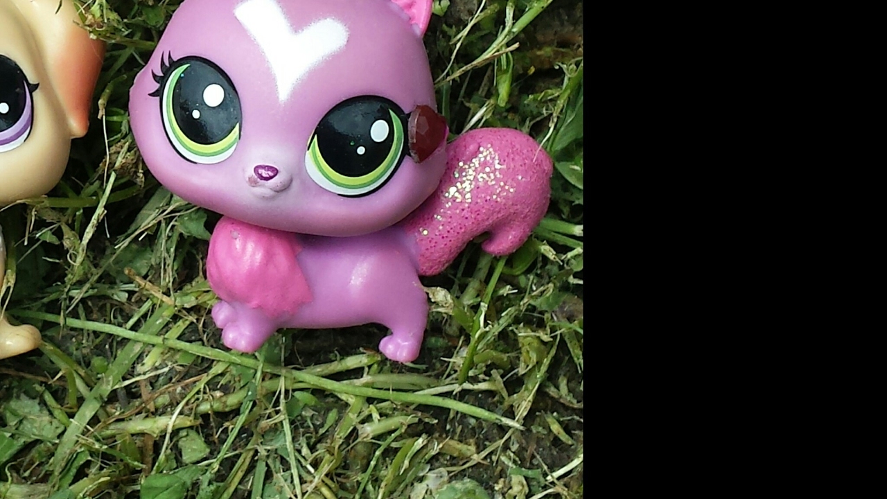 lps lulu cat's broadcat YouTube