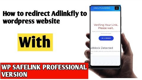How to redirect adlinkfly to WP safe link|Wp Safe Link Professional Version