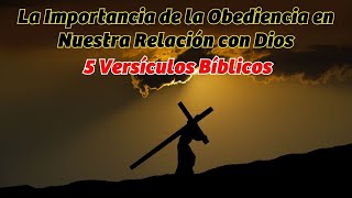 5 Versículos Bíblicos Sobre la Obediencia a Cristo y a las Escrituras 5 Versículos Bíblicos Sobre la Obediencia a Cristo y a las Escrituras