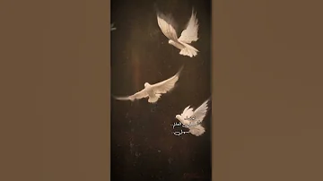 أمير عيد بالصدفه تقابل بنت جميله بدون موسيقى أحلامنا 