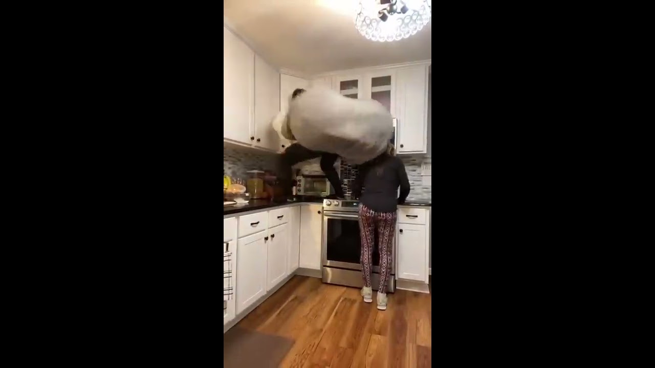 SHE DID NOT EXPECT THAT Shorts