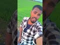 Pawan singh ka song 🥰😘🫣 #bhojpuri #bhojpurisong #song #viral