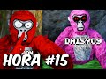 Pasé 24 HORAS BUSCANDO a DAISY09