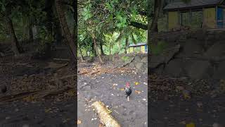 Я на побережье Тихого океана, Французкая Полинезия, Таити.
