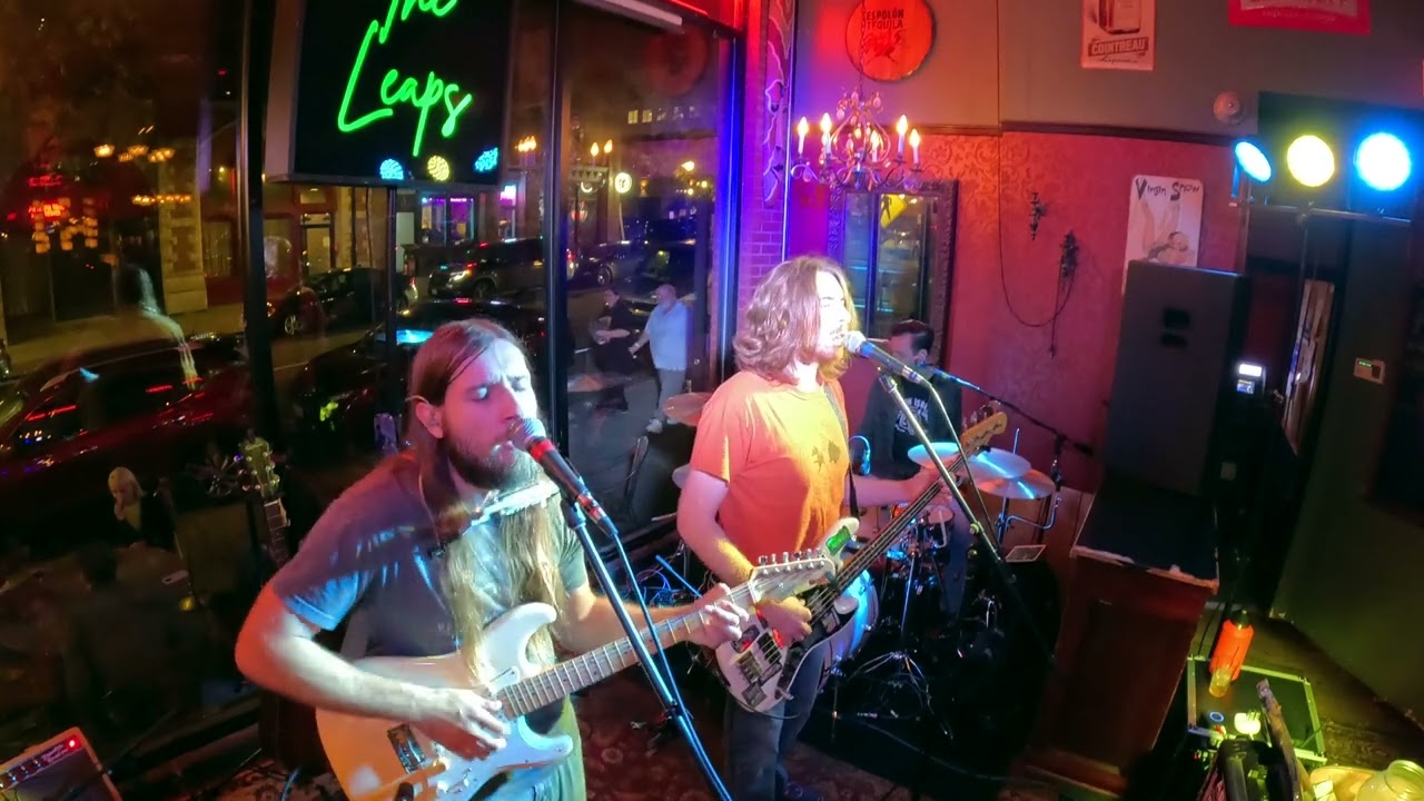 The Leaps - Old Picture Show