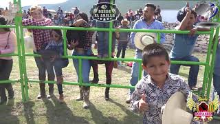 TORAZOS DE RANCHO SANTA ROSA EN SAN MIGUEL TLAZINTLA HGO