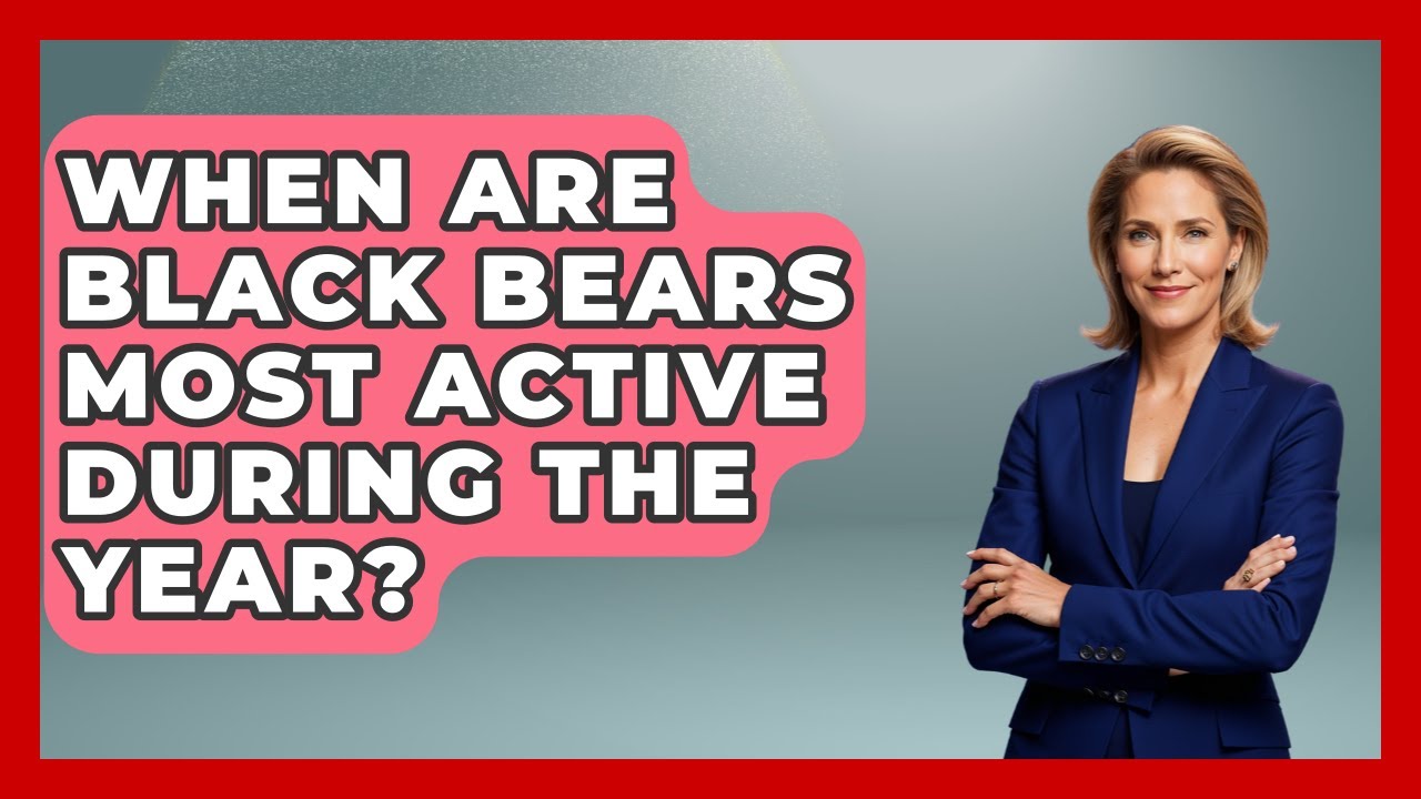 When Are Black Bears Most Active During The Year? - The Hiker's Advice