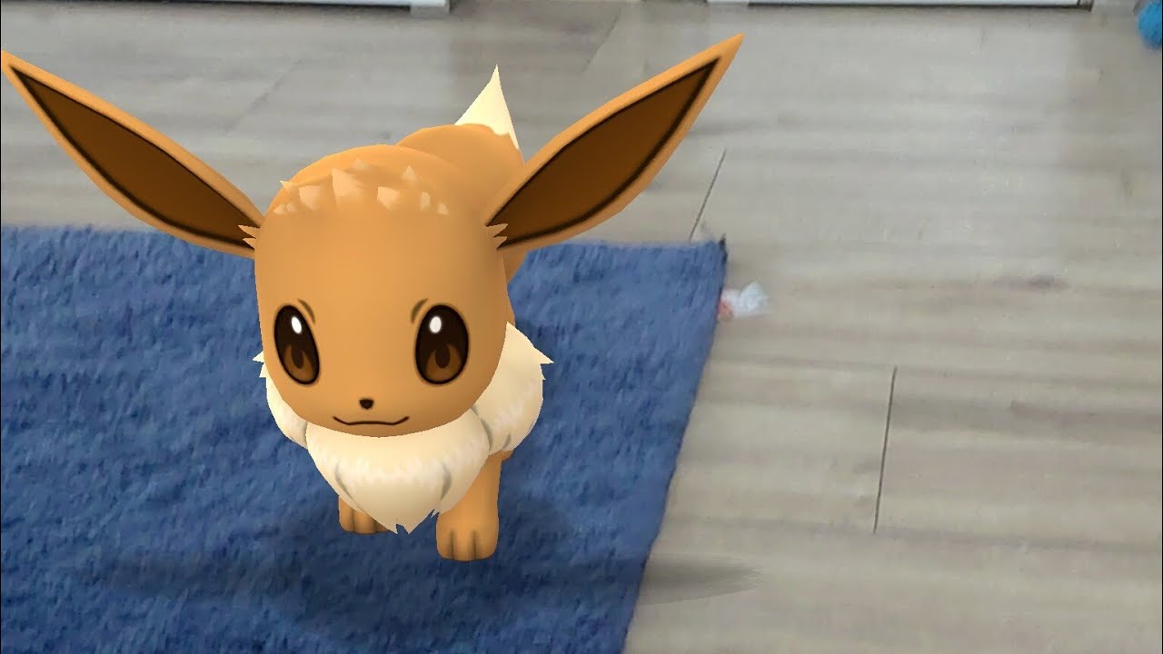 Dzisiaj nie wiem co robimy