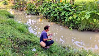 Download Lagu SPOT BARU SEMOGA ULIH IWAK SEKANDI MP3