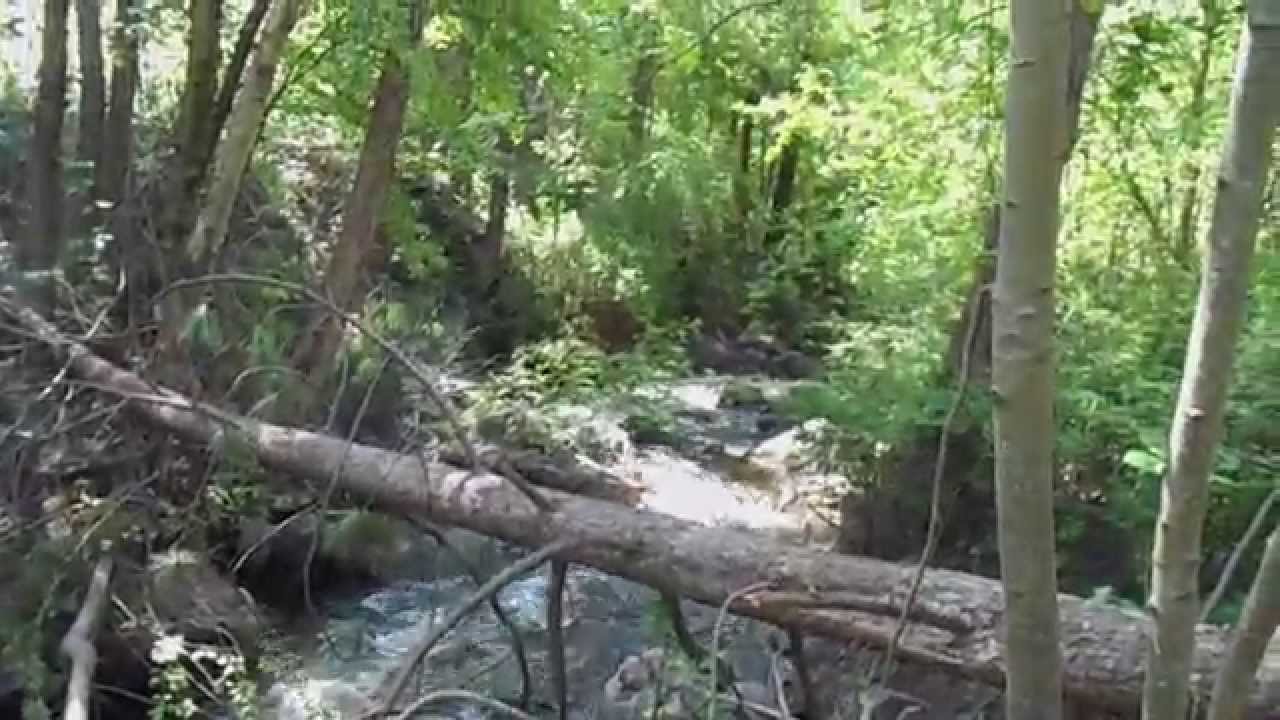 where does gold deposit finding gold on a small creek youtube