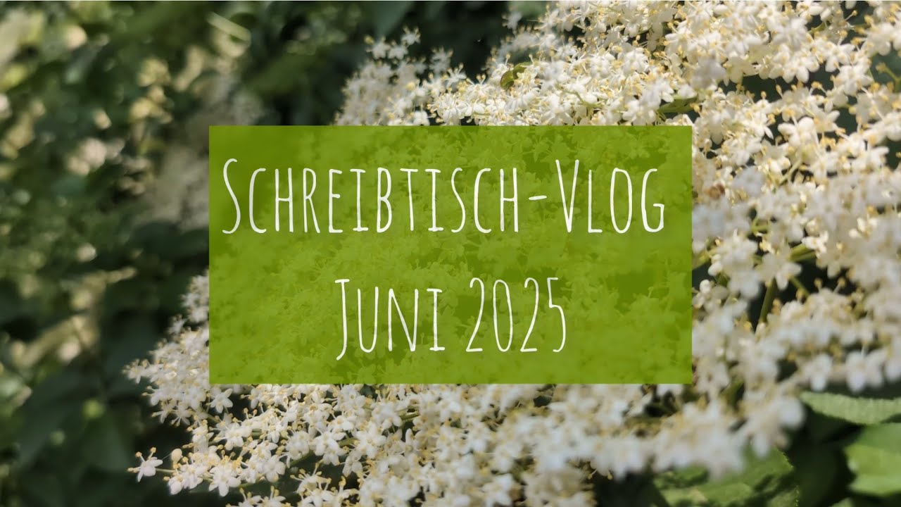 Schreibtisch Vlog #06 2025 | Planerwechsel | Take a Note A5 | Miso Paper | Journaling | planerbeere