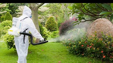 Longrayfog ULV Cold Fogger Pioneer With Best Features & Specification | ULV Cold Fogger Pioneer