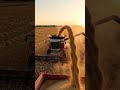 Most Satisfying Harvest Ever 🌾 #asthetic #analytics #csgo #farming